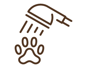 ペット足洗い場